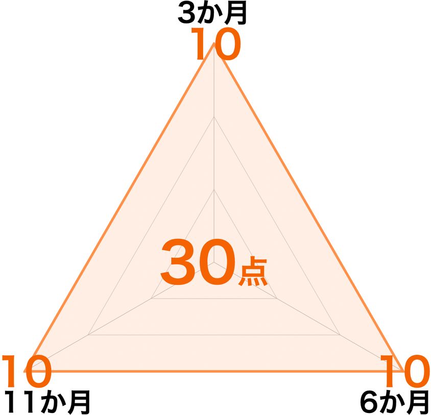 アイシン期間工|収入スコアチャート図30点
