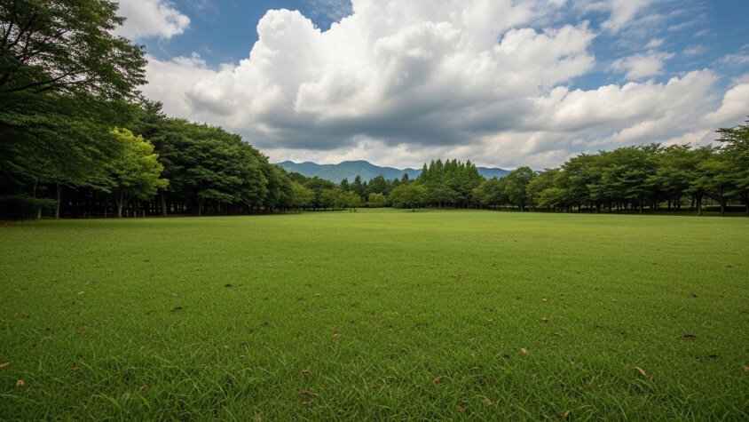 芝生広場