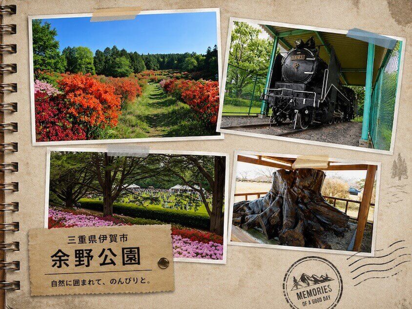 余野公園の思い出アルバム