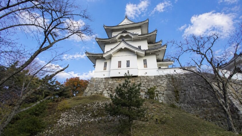 下から覗き込む白鳳城