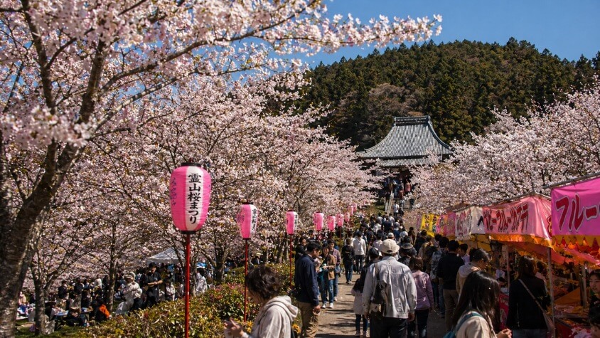 霊山桜まつり(出店の風景)