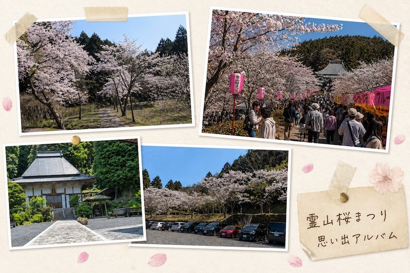 霊山寺・桜まつりの思い出フォト集